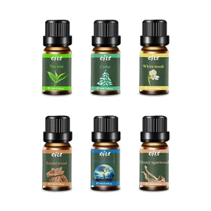 Aromatherapy Gift Set 6 Natural Essential Diffuser Oils